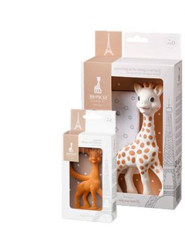 חבילה עם טעם